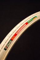 画像: Vittoria RANDONNEUR入荷