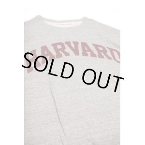 画像: VOTE MAKE NEW CLOTHES BIG TEE 「HARVARD ARCH」